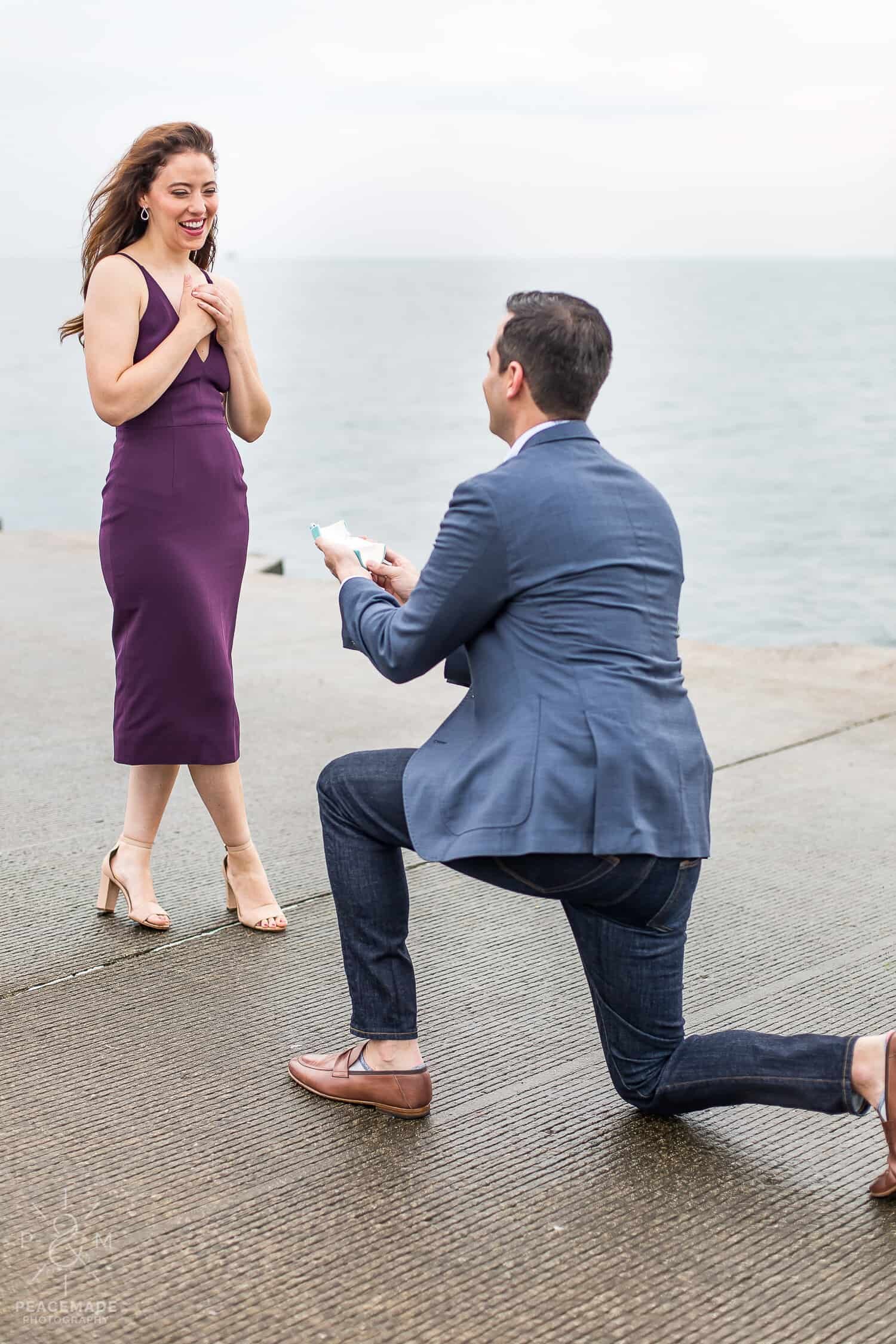 montrose-beach-proposal-engagement-session-peacemade-photography_2280.jpg