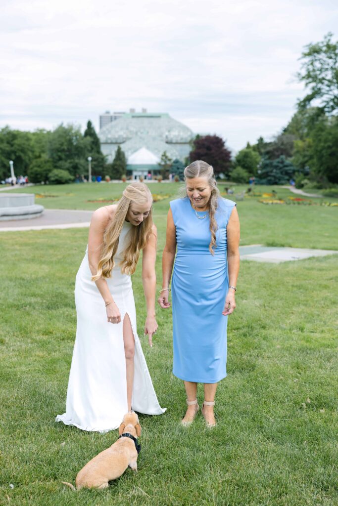 Candid wedding photography Lincoln Park Zoo